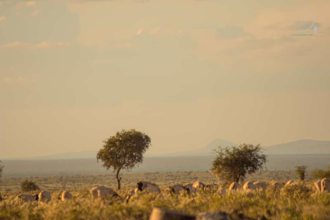 Amanya 3-Bedroom Hut Amboseli Extérieur photo